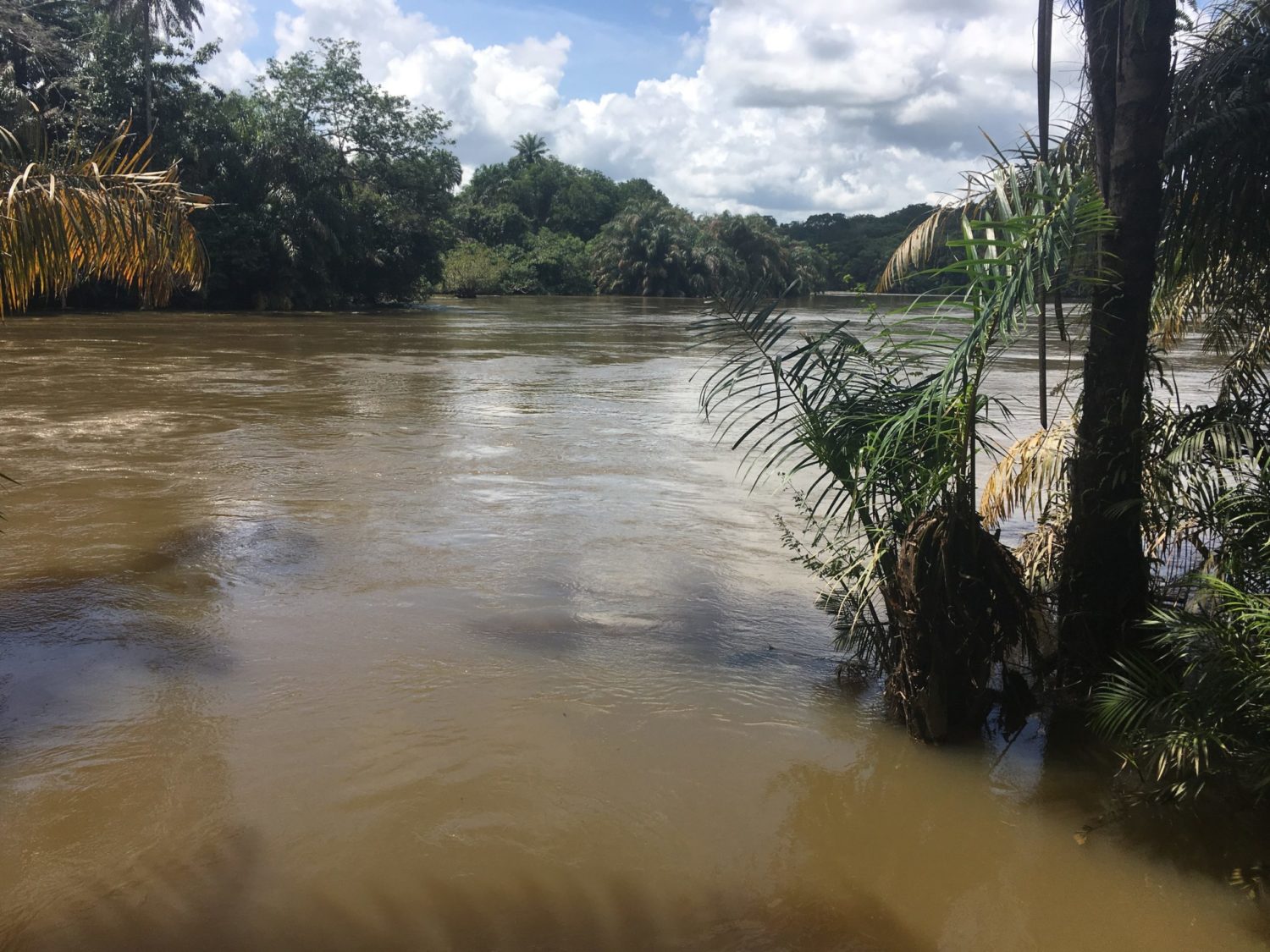 The Moa River in south-eastern Sierra Leone