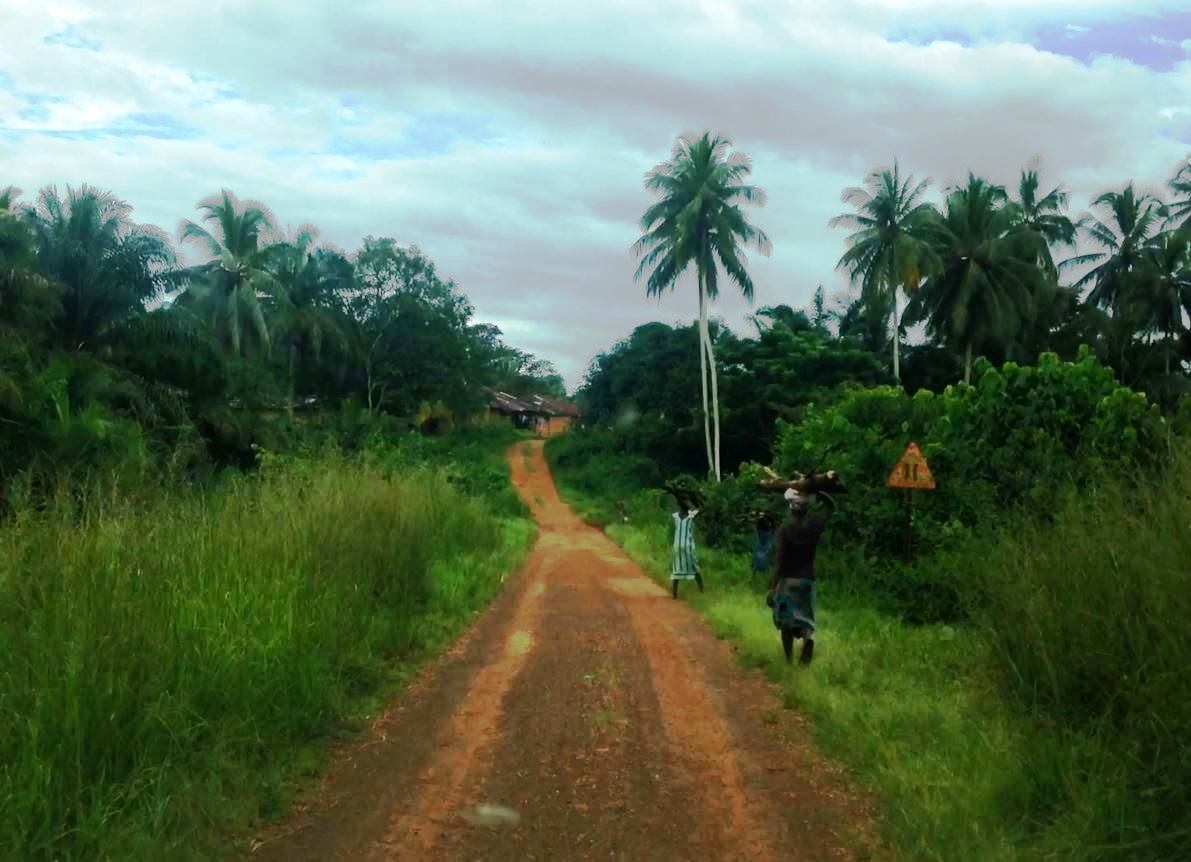 Tiwai Island